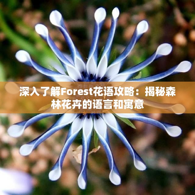 深入了解Forest花语攻略：揭秘森林花卉的语言和寓意