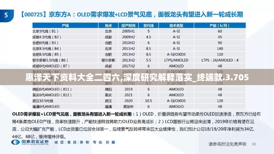 惠泽天下资料大全二四六,深度研究解释落实_终端款.3.705