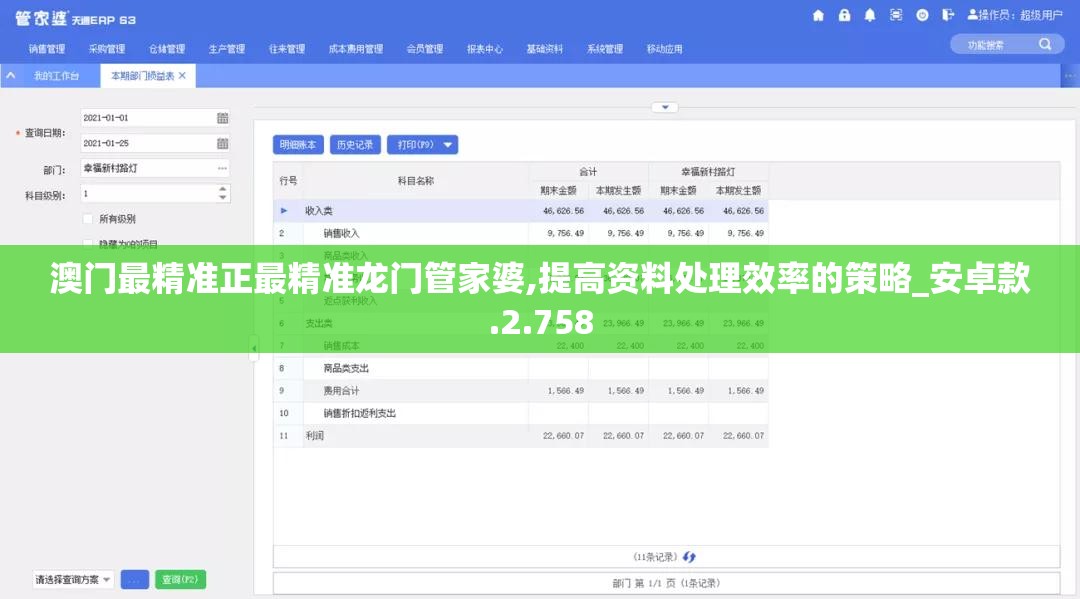 澳门最精准正最精准龙门管家婆,提高资料处理效率的策略_安卓款.2.758