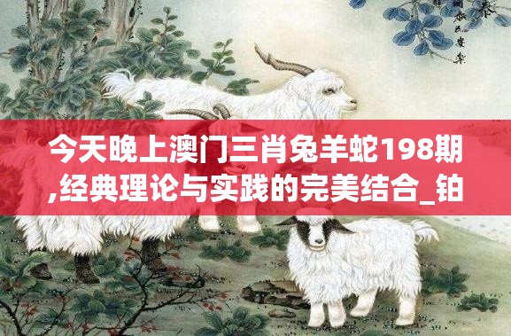 今天晚上澳门三肖兔羊蛇198期,经典理论与实践的完美结合_铂金版.8.871