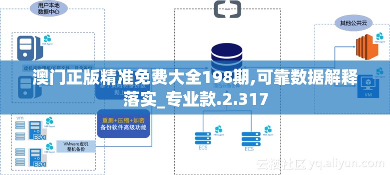 澳门正版精准免费大全198期,可靠数据解释落实_专业款.2.317