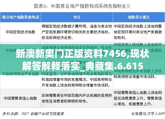 新澳新奥门正版资料7456,现状解答解释落实_典藏集.6.615