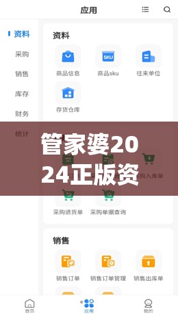 管家婆2024正版资料图38期,实地数据解释落实_移动版IP.2.848