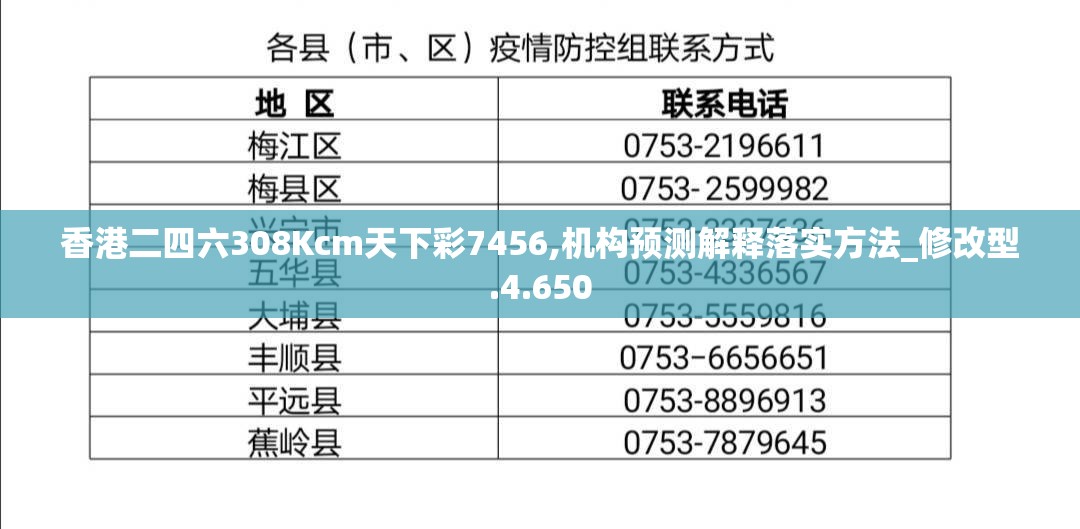 香港二四六308Kcm天下彩7456,机构预测解释落实方法_修改型.4.650