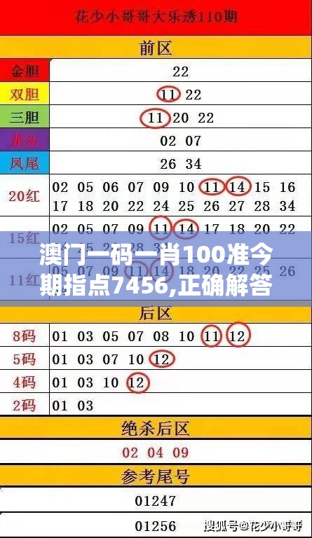 澳门一码一肖100准今期指点7456,正确解答落实_娱乐版SIP.3.455