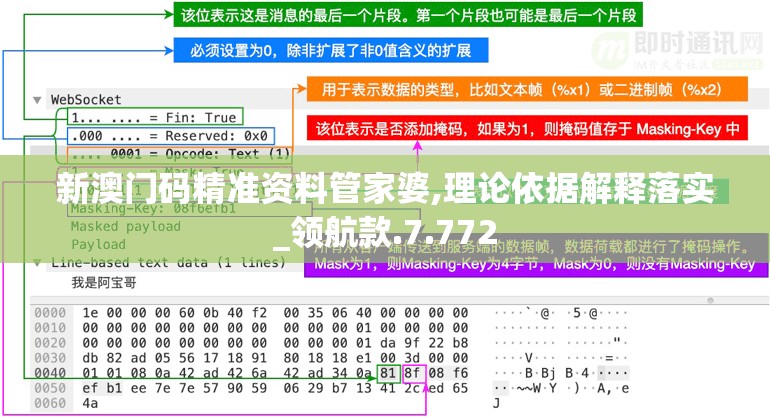 新澳门码精准资料管家婆,理论依据解释落实_领航款.7.772