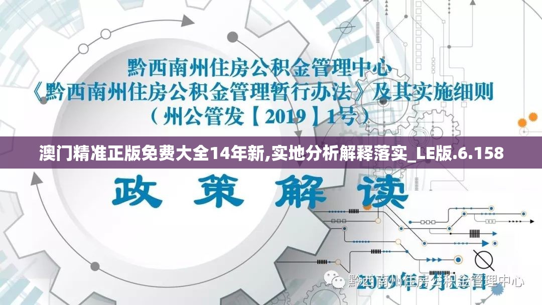 澳门精准正版免费大全14年新,实地分析解释落实_LE版.6.158