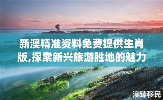 香港澳门彩开奖结果查询记录|广泛的解释落实支持计划_梦幻版IP.4.524