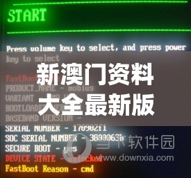 新澳门资料大全最新版本更新内容198期,解析关键问题的重要性与实施策略_半成制.8.722