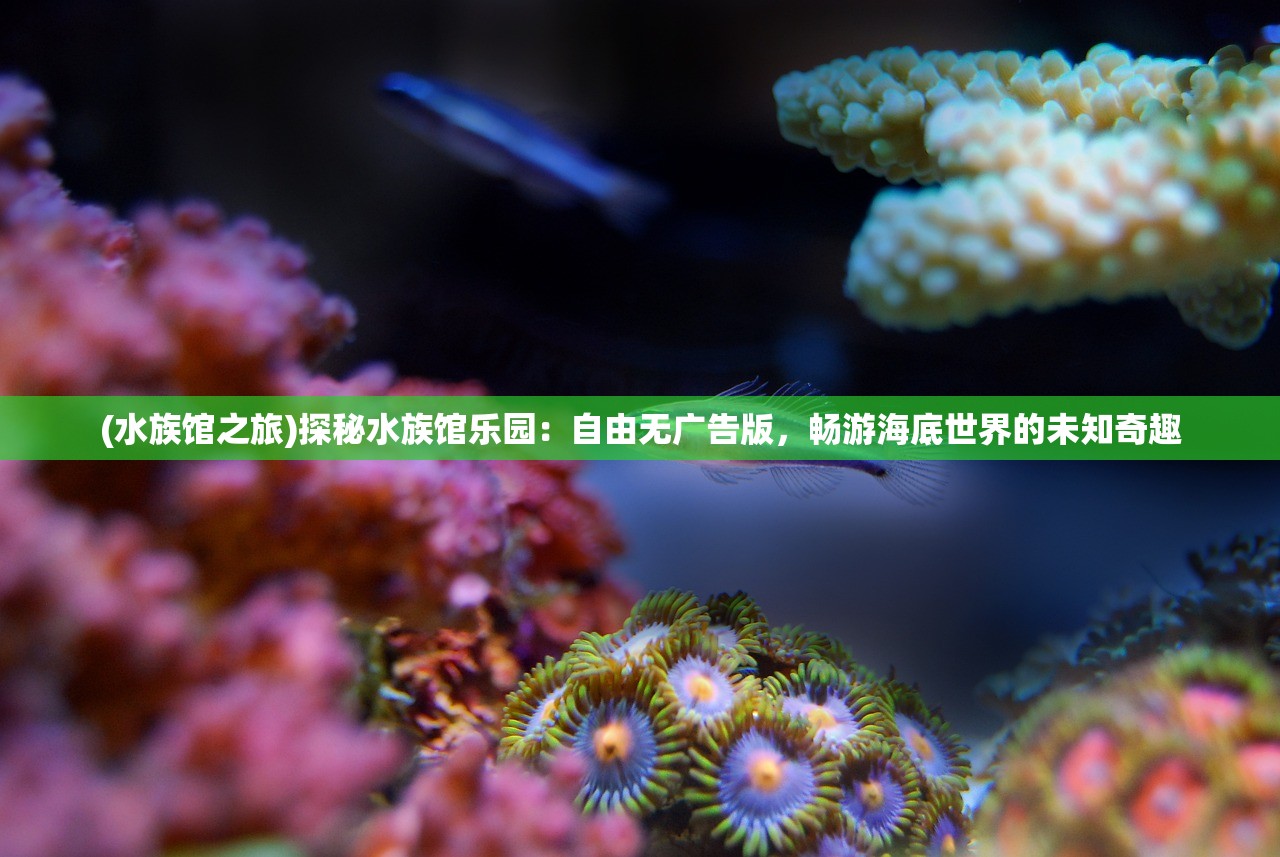 (水族馆之旅)探秘水族馆乐园：自由无广告版，畅游海底世界的未知奇趣