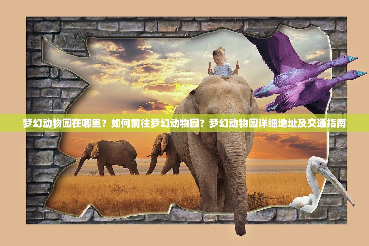 梦幻动物园在哪里？如何前往梦幻动物园？梦幻动物园详细地址及交通指南