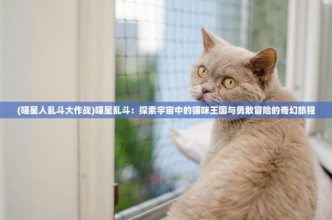 (喵星人乱斗大作战)喵星乱斗：探索宇宙中的猫咪王国与勇敢冒险的奇幻旅程