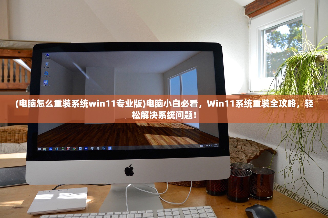 (电脑怎么重装系统win11专业版)电脑小白必看，Win11系统重装全攻略，轻松解决系统问题！