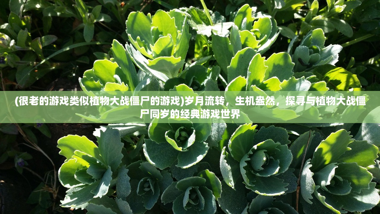 (很老的游戏类似植物大战僵尸的游戏)岁月流转，生机盎然，探寻与植物大战僵尸同岁的经典游戏世界