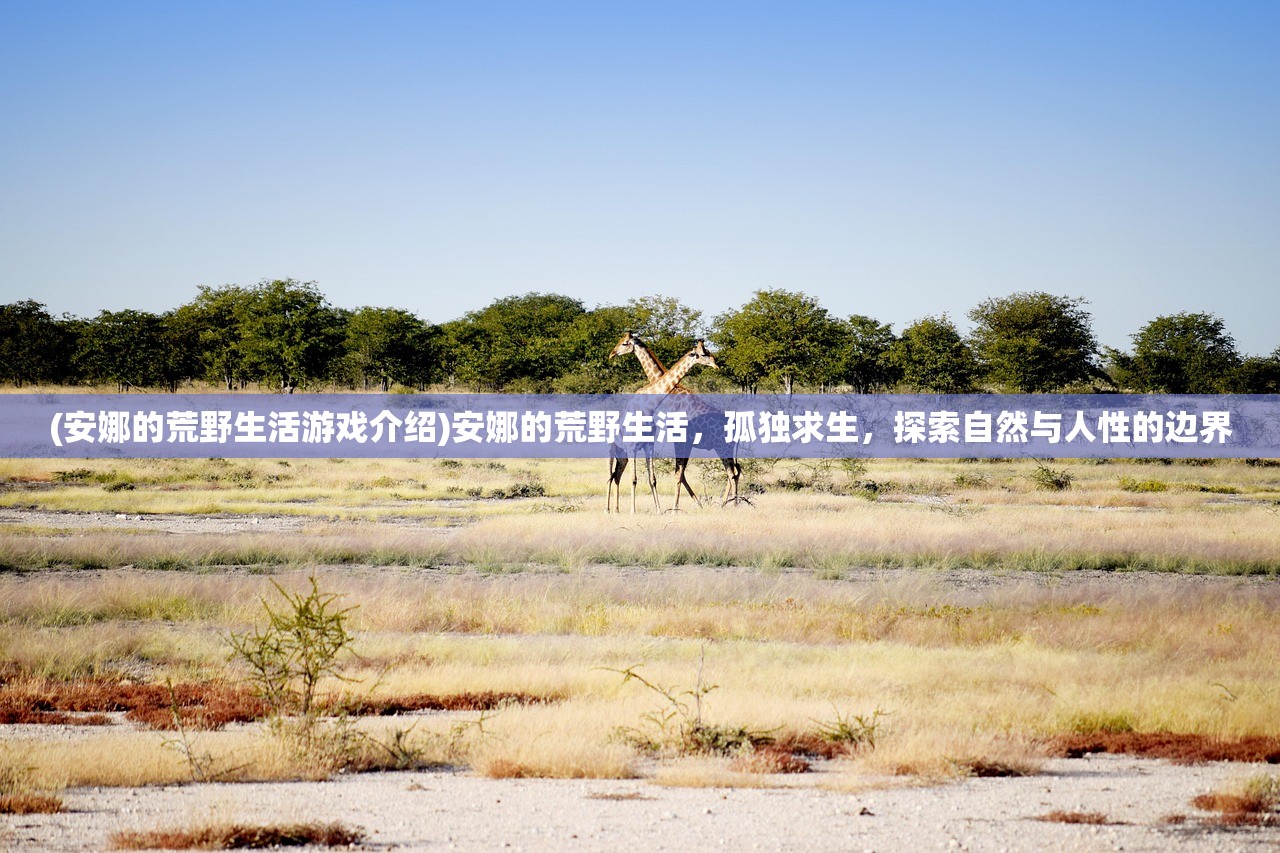 (安娜的荒野生活游戏介绍)安娜的荒野生活，孤独求生，探索自然与人性的边界