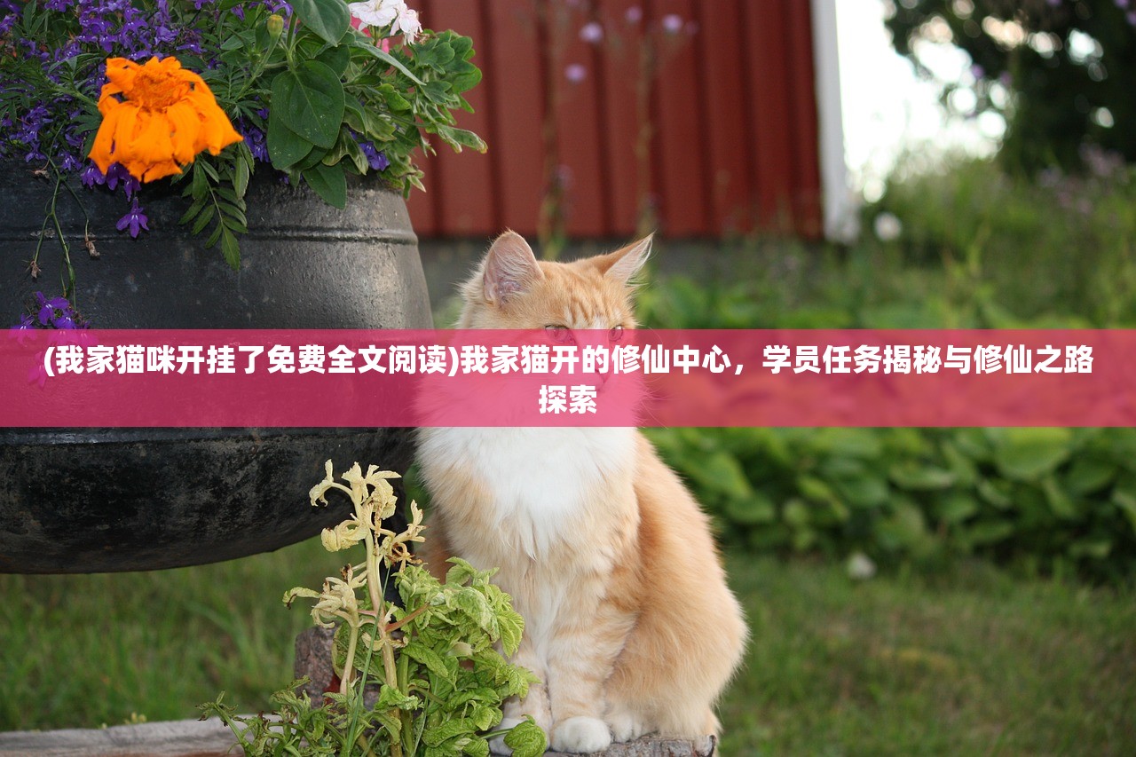 (我家猫咪开挂了免费全文阅读)我家猫开的修仙中心，学员任务揭秘与修仙之路探索