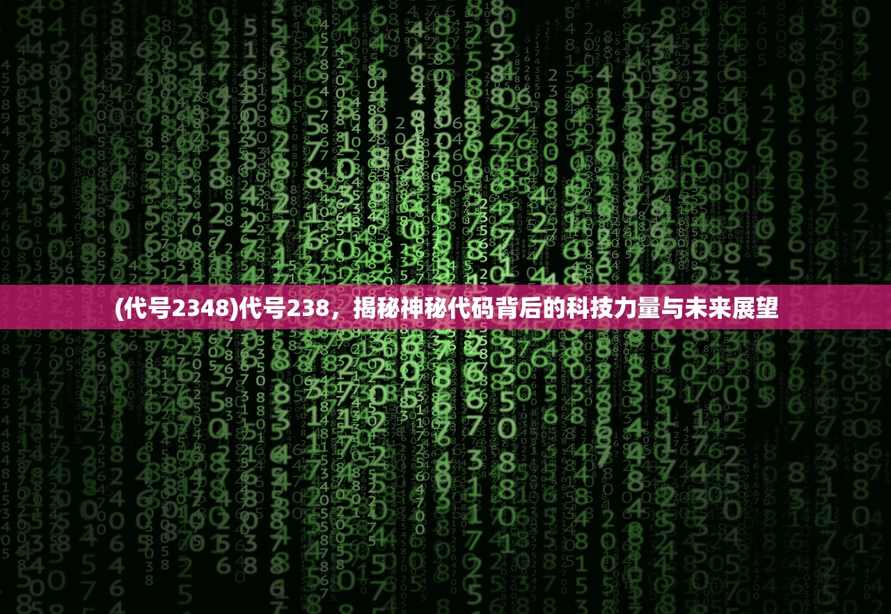 (代号2348)代号238，揭秘神秘代码背后的科技力量与未来展望