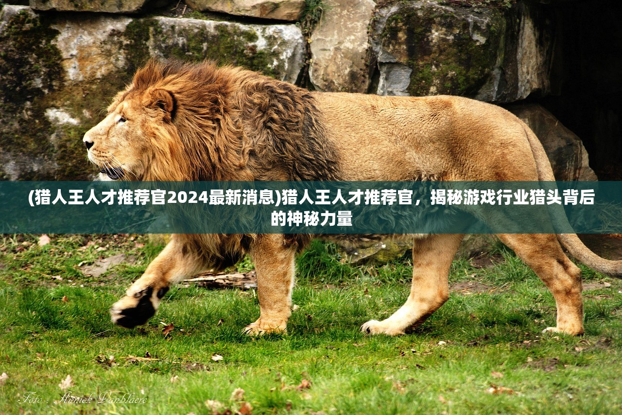 (猎人王人才推荐官2024最新消息)猎人王人才推荐官，揭秘游戏行业猎头背后的神秘力量