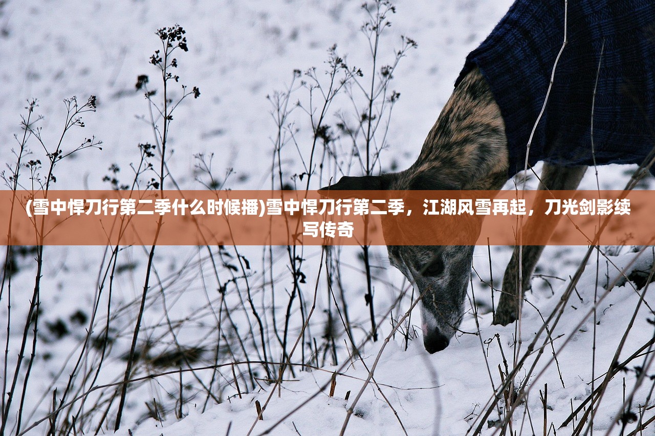 (雪中悍刀行第二季什么时候播)雪中悍刀行第二季，江湖风雪再起，刀光剑影续写传奇